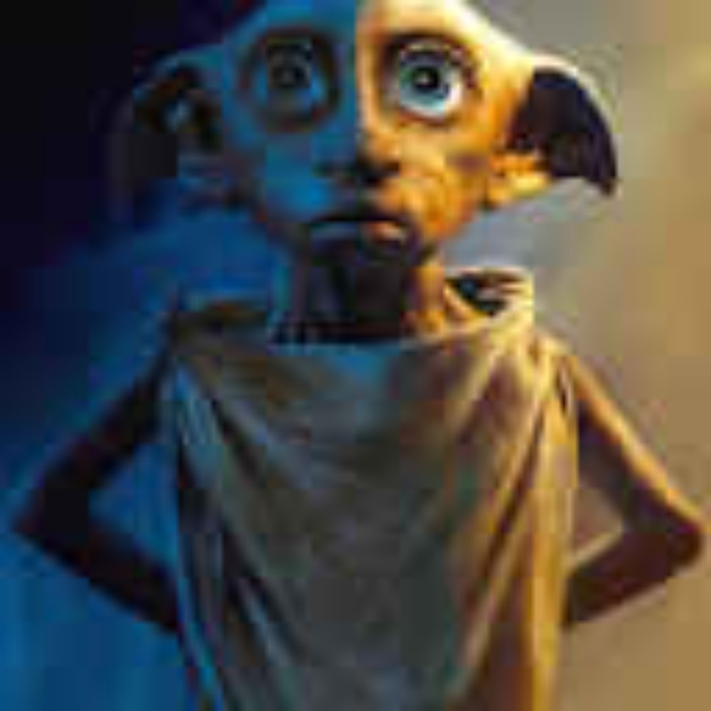 Meet your Posher, Carley